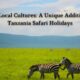 Tanzania Safari Holidays