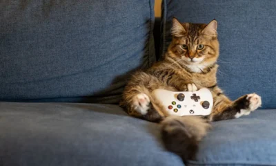 Latest Gaming Updates FeedGameBuzz