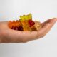 Delta 8 Gummy Bears