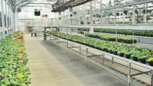 Greenhouse