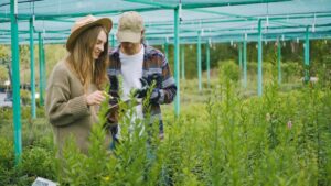 Revegetation