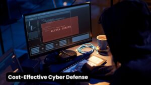 Cost-Effective Cyber Defense