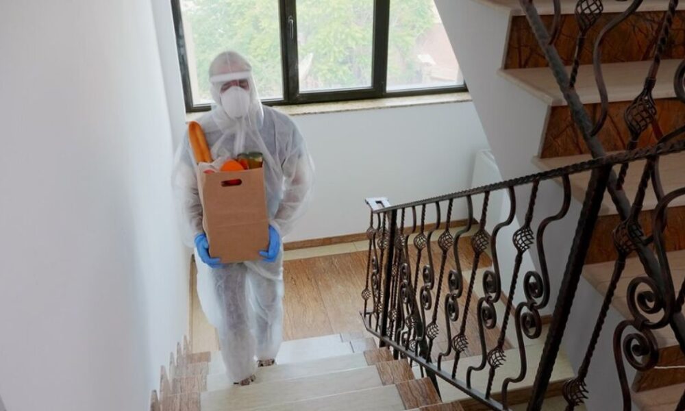 Mold Removal Services