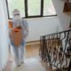 Mold Removal Services