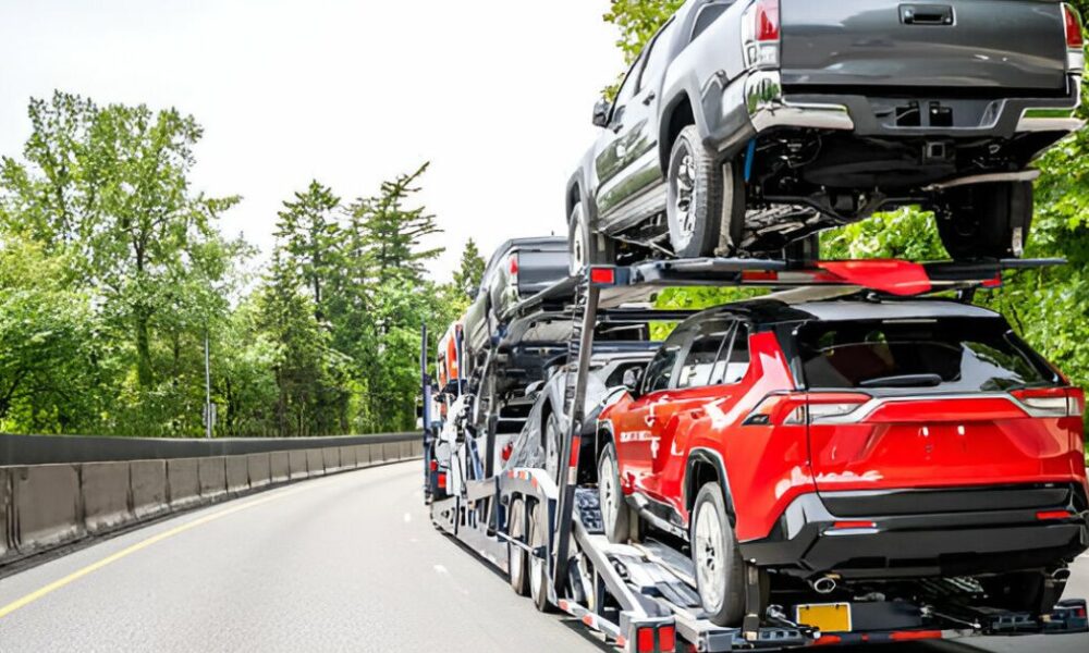 Ship Luxury and Rare Vehicles