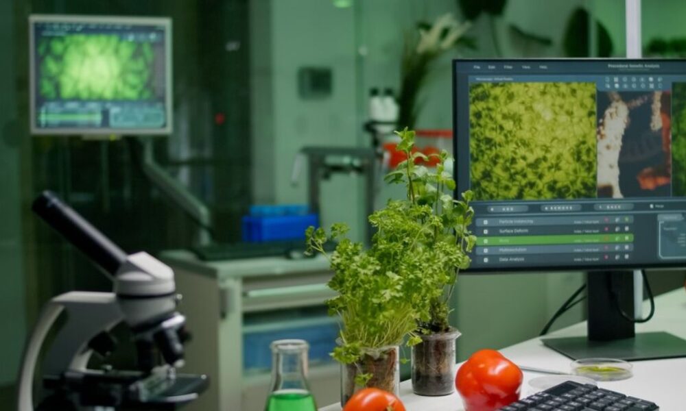 Efficiency in Manufacturing