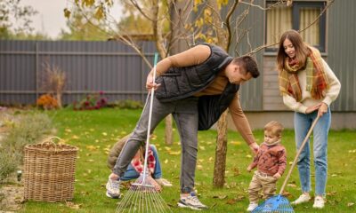 Cleaning Up the Outdoor Space