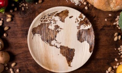 Global Food Supply Chains: The Role of Processed Ingredients