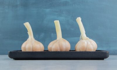 Garlic Sprouting Hacks for Better Yield