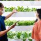The Future of Indoor Vertical Farming for Home Gardeners