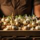 Garlic Business Opportunities for Small Farms