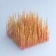 Toothpickase Graph Why It Plateaus