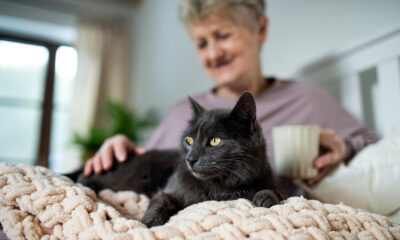 Why Customized Care Plans Improve Senior Wellness