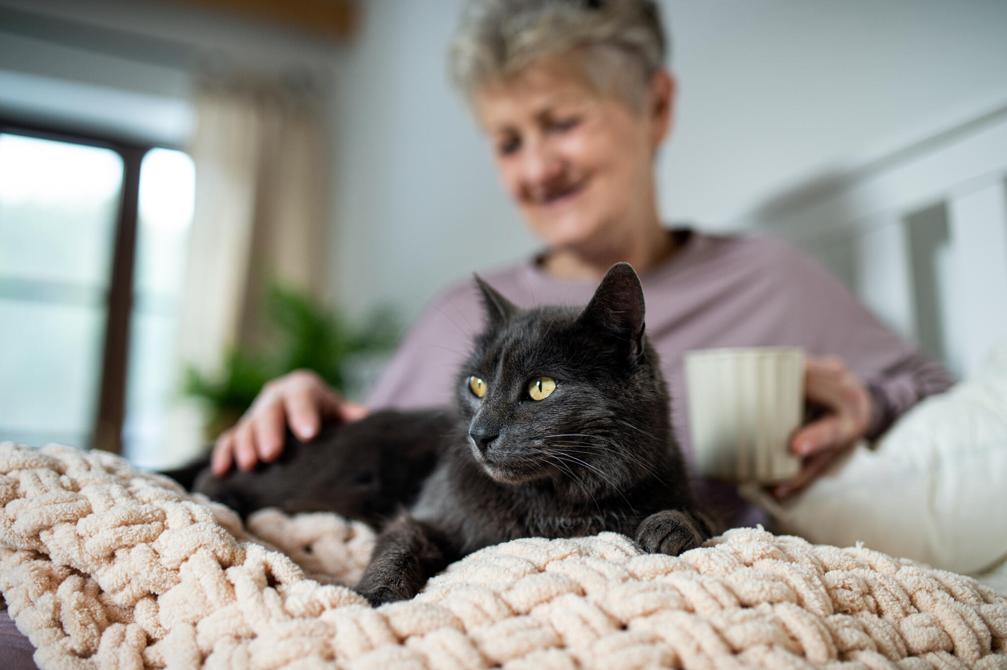 Why Customized Care Plans Improve Senior Wellness