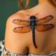 Significance of Dragonfly Tattoo