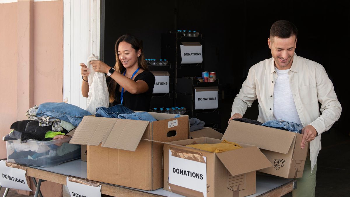 darwin removal companies