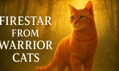 Firestar from Warrior Cats