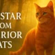 Firestar from Warrior Cats