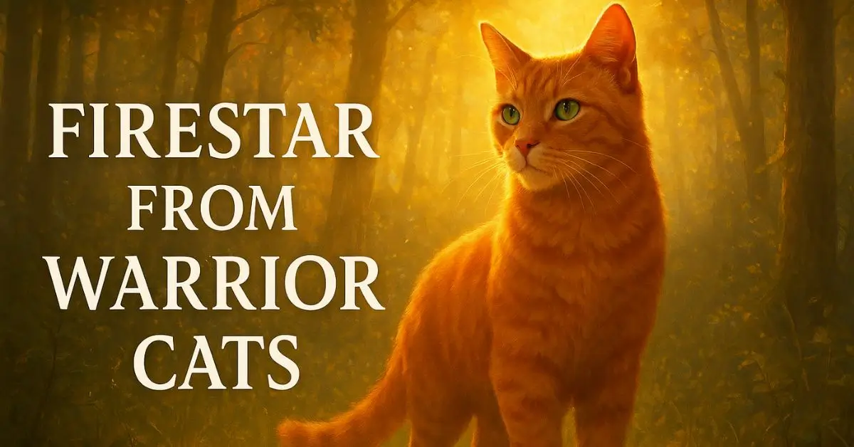 Firestar from Warrior Cats